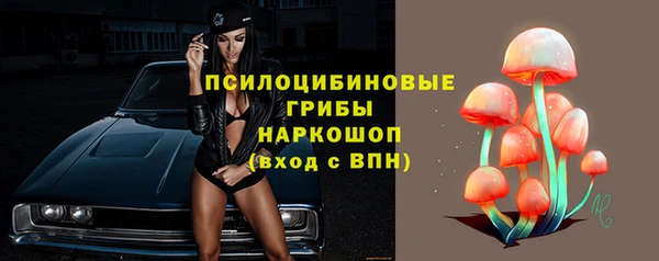 шишки Новозыбков